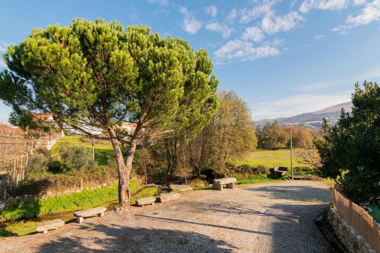 Casa Do Loureiro 1 - Seia - Serra Da Estrela Zewnętrze zdjęcie