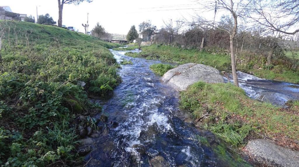 Casa Do Loureiro 1 - Seia - Serra Da Estrela Zewnętrze zdjęcie